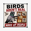 birds standardized magnet image