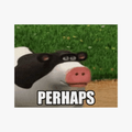 cow standardized magnet image