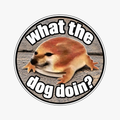 dog standardized magnet image